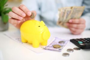 money, savings, credit card, count, note, rupees, filling form, coins, calculator, finance, rupees, rupees, rupees, rupees, rupees